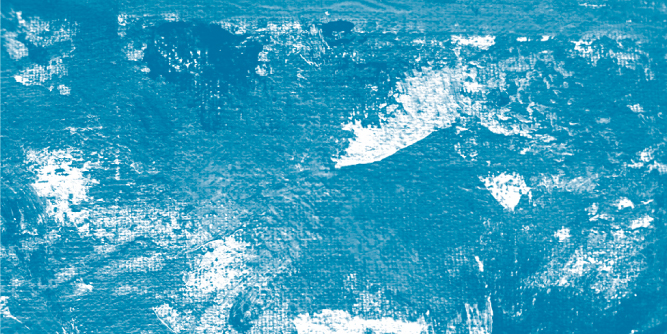 widget image